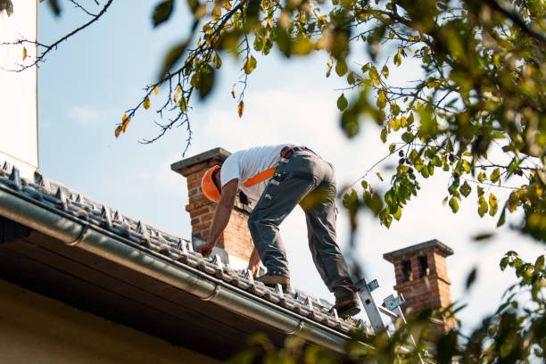 Residential Roof Replacement in Bicknell, IN